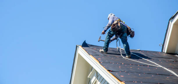 Roof Gutter Cleaning in Woodbine, NJ